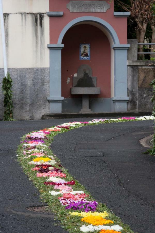 Antonella Home Funchal Esterno foto